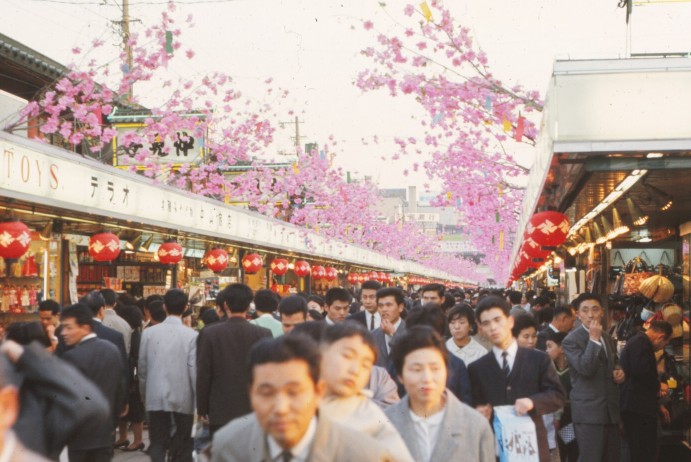 Tokyo Cherry Blossoms - April 1966