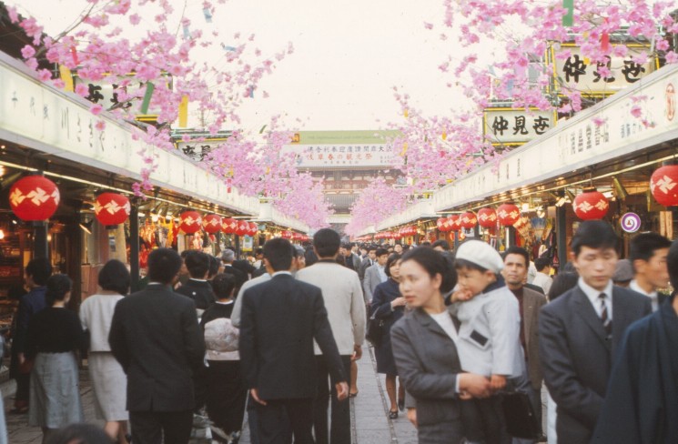 Tokyo Cherry Blossoms - April 1966